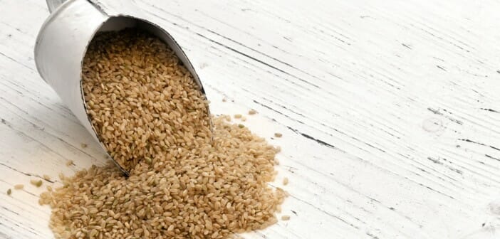 Faire une cure de riz complet fait-il maigrir ?