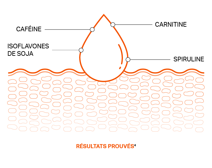 Ingrédients Gel Minceur